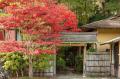 【開村40周年】東京・八重洲から江戸ワンダーランド日 【開村40周年】東京・八重洲から江戸ワンダーランド日
