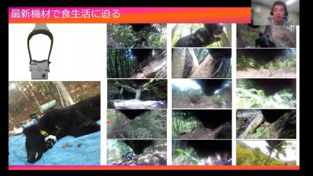 クマ出没から考えた自然環境 オンラインで45人が学ん クマ出没から考えた自然環境 オンラインで45人が学ん
