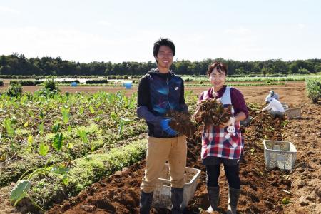 【川越プリンスホテル】地元農園でさつまいも掘り体験 【川越プリンスホテル】地元農園でさつまいも掘り体験