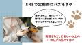 犬の個性を「リボン」で可視化。犬を飼っていない人も 犬の個性を「リボン」で可視化。犬を飼っていない人も