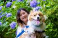 犬の個性を「リボン」で可視化。犬を飼っていない人も 犬の個性を「リボン」で可視化。犬を飼っていない人も