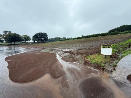 度重なる大雨にも負けない!秋を彩るコスモス畑の“再 度重なる大雨にも負けない!秋を彩るコスモス畑の“再
