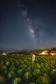 【大分・久住高原】標高850m、秋の夜空と満天の星が彩 【大分・久住高原】標高850m、秋の夜空と満天の星が彩