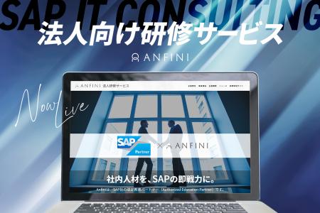 株式会社Anfini、現役コンサルタントによる法人向け研 株式会社Anfini、現役コンサルタントによる法人向け研