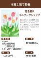 【広島/世羅】世羅高原の花を描くイラストレーター藤 【広島/世羅】世羅高原の花を描くイラストレーター藤
