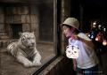 【東武動物公園45周年】みんなで灯すランタンナイトな 【東武動物公園45周年】みんなで灯すランタンナイトな
