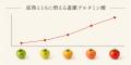 ワインのように、その年を味わう。初摘みトマトだけで ワインのように、その年を味わう。初摘みトマトだけで