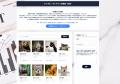 kintoneのデータをあっという間に美しいWebサイトへ! kintoneのデータをあっという間に美しいWebサイトへ!