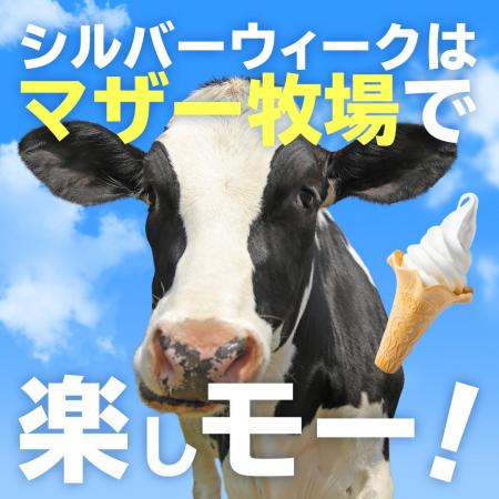 【SW早朝限定】迫力満点のイベント「ひつじの大放牧」 【SW早朝限定】迫力満点のイベント「ひつじの大放牧」