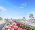 GREEN×EXPO 2027「TAISEI GREEN TERRACE」蜷川実花 wi GREEN×EXPO 2027「TAISEI GREEN TERRACE」蜷川実花 wi