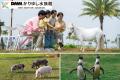 【DMMかりゆし水族館】「ふれあい広場tetote」に屋外 【DMMかりゆし水族館】「ふれあい広場tetote」に屋外