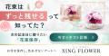 シンフラワー、花束を贈ったあとの楽しみ方までutf-8 シンフラワー、花束を贈ったあとの楽しみ方までutf-8