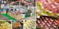 エフピコチューパ、第16回 農業WEEK(通称:J-AGRI TO エフピコチューパ、第16回 農業WEEK(通称:J-AGRI TO