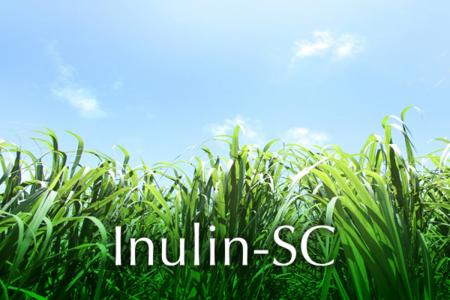日本精化、第64回日本油化学会年会にてInulin-SCの研 日本精化、第64回日本油化学会年会にてInulin-SCの研