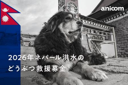 『ネパール洪水のどうぶつ救援募金』実施のお知らせ 『ネパール洪水のどうぶつ救援募金』実施のお知らせ