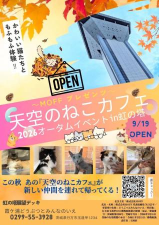 【大反響】あの空の上の猫カフェが帰ってくる!『天空 【大反響】あの空の上の猫カフェが帰ってくる!『天空