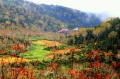 10月3日(土)紅葉ウィーク開幕!長野県小谷村・栂池 10月3日(土)紅葉ウィーク開幕!長野県小谷村・栂池