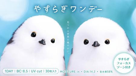 シマエナガが瞳にやすらぎをお届け。ピントアシスト付 シマエナガが瞳にやすらぎをお届け。ピントアシスト付