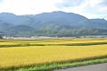 【北海道富良野市】秋の富良野をスマホで発見!写真投 【北海道富良野市】秋の富良野をスマホで発見!写真投