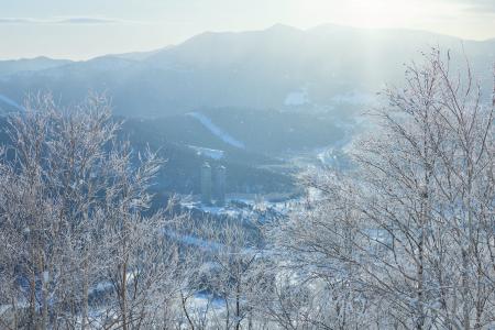 【トマム】氷点下の朝、気象条件が織りなす白銀の絶景 【トマム】氷点下の朝、気象条件が織りなす白銀の絶景