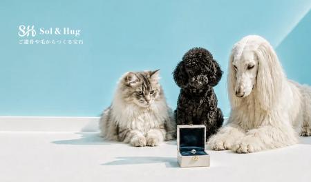 ペットメモリアル、「元気なうち」に考えたい飼い主が ペットメモリアル、「元気なうち」に考えたい飼い主が