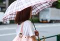 「お気に入りは、もっと楽しめる。」推しの写真・GIF 「お気に入りは、もっと楽しめる。」推しの写真・GIF