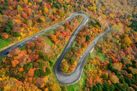 天上の紅葉ワインディングロードへ直行!福島駅発「浄 天上の紅葉ワインディングロードへ直行!福島駅発「浄