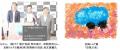 損害車リユースのタウ第8回タウ・パラリンアートutf-8 損害車リユースのタウ第8回タウ・パラリンアートutf-8