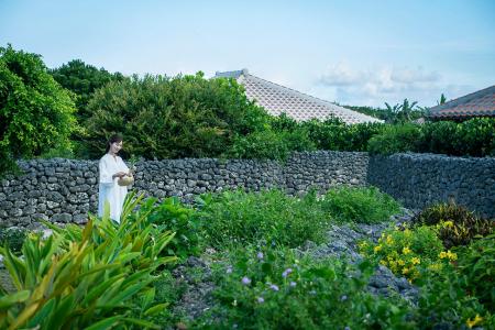 【星のや竹富島】冬の寒さや春の花粉と無縁の沖縄・竹 【星のや竹富島】冬の寒さや春の花粉と無縁の沖縄・竹