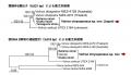 巨大な緑の球体の新種「ヒスイボルボックス」をutf-8 巨大な緑の球体の新種「ヒスイボルボックス」をutf-8