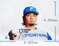 北海道日本ハムファイターズ ライセンスグッズ第utf-8 北海道日本ハムファイターズ ライセンスグッズ第utf-8