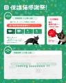 保護猫スポンサーシップ「ネコノート」、サービス開始 保護猫スポンサーシップ「ネコノート」、サービス開始