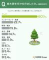 「樹木葬」を言葉も内容も知っている人はわずか約24% 「樹木葬」を言葉も内容も知っている人はわずか約24%