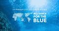 一般社団法人 Alliance for the Blue様への寄付を実施 一般社団法人 Alliance for the Blue様への寄付を実施