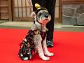 【西武園ゆうえんち】わんちゃんと一緒に“ゆうえんち” 【西武園ゆうえんち】わんちゃんと一緒に“ゆうえんち”