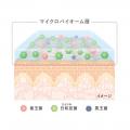【CPコスメティクス】素肌でいるよりも、肌にいい。至 【CPコスメティクス】素肌でいるよりも、肌にいい。至