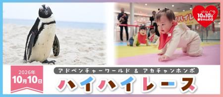10月10日「赤ちゃんの日」 ペンギンのよちよち歩 10月10日「赤ちゃんの日」 ペンギンのよちよち歩