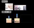 ポーラ化成工業、世界的に権威ある化粧品技術者学会に ポーラ化成工業、世界的に権威ある化粧品技術者学会に
