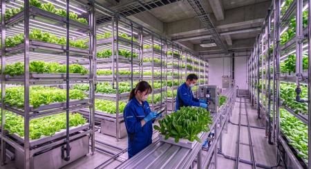 Batten Beans、創業7周年を機にアグリテック領域へ本 Batten Beans、創業7周年を機にアグリテック領域へ本