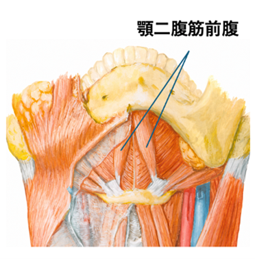 【徳島大学】筋萎縮性側索硬化症(ALS)の早期診断を 【徳島大学】筋萎縮性側索硬化症(ALS)の早期診断を