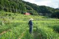 地元農園「おのののうえん」とのコラボレーションによ 地元農園「おのののうえん」とのコラボレーションによ