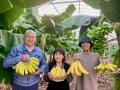 【別府温泉 杉乃井ホテル】別府の恵みを「和ダイニン 【別府温泉 杉乃井ホテル】別府の恵みを「和ダイニン