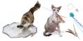 【 9月29日は招き猫の日 】
猫用品ブランド『猫utf-8 【 9月29日は招き猫の日 】
猫用品ブランド『猫utf-8