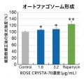 【研究成果】オートファジー研究を健康食品開発へ応用 【研究成果】オートファジー研究を健康食品開発へ応用