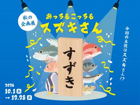 【京都水族館】海水魚の「スズキ」が主役の初企utf-8 【京都水族館】海水魚の「スズキ」が主役の初企utf-8
