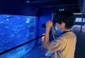 【京都水族館】海水魚の「スズキ」が主役の初企utf-8 【京都水族館】海水魚の「スズキ」が主役の初企utf-8