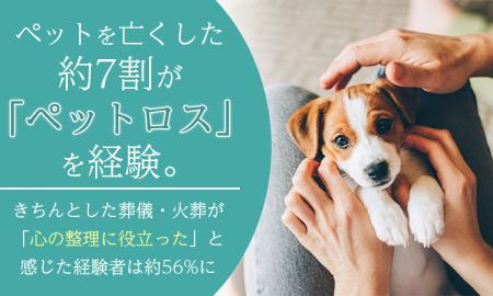 ペットを亡くした約7割が「ペットロス」を経験。きち ペットを亡くした約7割が「ペットロス」を経験。きち