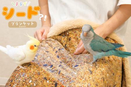 【お待たせしました】これが鳥界隈の本気…! 「発想が 【お待たせしました】これが鳥界隈の本気…! 「発想が
