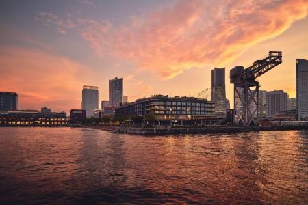 2026年10月31日【インターコンチネンタル横浜Pier 8】 2026年10月31日【インターコンチネンタル横浜Pier 8】
