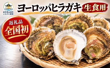 日本初!【岩手県山田町】東日本大震災で消えた「幻の 日本初!【岩手県山田町】東日本大震災で消えた「幻の